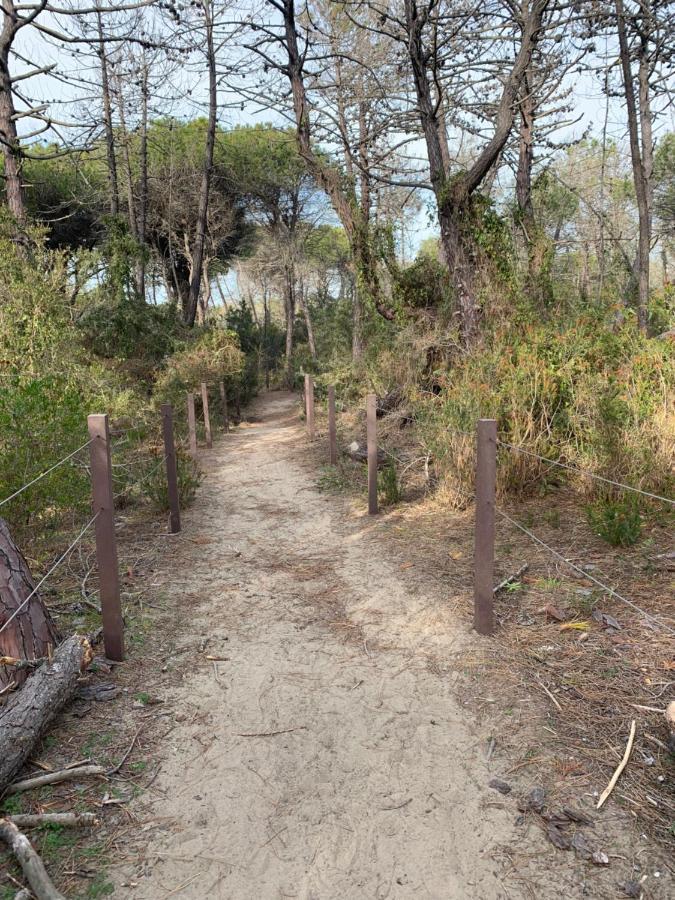 Residenza L'Ulivo Villa Alberese Eksteriør billede